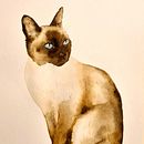 My project for course: Expressive Animal Portraits in Watercolor. Ilustração tradicional, Pintura em aquarela, Desenho realista e Ilustração naturalista projeto de wren1979 - 09.06.2023