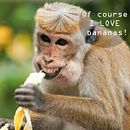 #naturewellbeing . % Xica Negra tarafından hazırlanan Sos, al Med, a, Görsel-İşitsel Prodüksi, on, Yaratıcılık & Instagram projesi - 03.04.2022