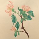 Mein Abschlussprojekt für den Kurs: Naturillustrationen mit Aquarell und Gouache. Un proyecto de Bellas Artes, Pintura, Pintura a la acuarela, Ilustración botánica, Ilustración naturalista				 y Pintura gouache de Jeannette Martin - 10.06.2023