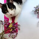 Mi proyecto del curso: Fotografía profesional para Instagram . % Karina Gonzalez tarafından hazırlanan Reklamcılık, Fotoğrafçılık, Pazarlama, Sos, al Med, a, Mobil Fotoğrafçılık, Ürün Fotoğrafçılığı, Mobil Pazarlama, Instagram, Instagram Fotoğrafçılığı, Ve Yaşam Tarzı Fotoğrafçılığı projesi - 06.10.2023