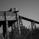 Mi proyecto del curso: Fotografía para principiantes: descubre tu cámara digital // Luis La Paz IG:@llapazphotograph. Een project van Fotografie, Digitale fotografie y Fotografische compositie van Luis La Paz - 11.06.2023