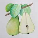 Mój projekt z kursu: Realistyczna ilustracja botaniczna: ucieczka do świata natury Ein Projekt aus dem Bereich Malerei, Aquarellmalerei, Botanische Illustration und Naturalistische Illustration von Marzena - 06.06.2023