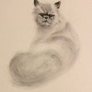 My project for course: Expressive Drawing with Charcoal. Un proyecto de Bellas Artes, Dibujo, Dibujo de Retrato e Ilustración naturalista				 de kausarnabi - 10.06.2023