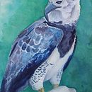 Meu projeto do curso: Aquarela naturalista com expressão e personalidade. Een project van Traditionele illustratie, Aquarelschilderen y Naturalistische illustratie van Natália Fontes Rodrigues - 11.06.2023