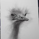 Expressive Drawing with Charcoal. Een project van  Tekening van Sue Sumner - 11.06.2023