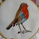 Mi proyecto del curso: Pintar con hilo: técnicas de ilustración textil. Een project van Traditionele illustratie, Borduurwerk y Textielontwerp van ali_chu - 19.06.2023
