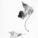 Mi proyecto del curso: Las leyes de la percepción visual: unidad, peso, equilibrio y movimiento. Un proyecto de Arquitectura, Dirección de arte, Consultoría creativa, Diseño editorial, Bellas Artes, Diseño gráfico y Escenografía de lindajuliethgil - 19.06.2023