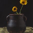 Flores en la cocina de la abuela. Un progetto di Fotografia di Héctor Chenge - 21.06.2023