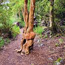 Imágenes de la región de Patagonia de Argentina. Un proyecto de Fotografía, Educación, Bellas Artes, Paisajismo, Pintura, Post-producción fotográfica		, Retoque fotográfico y Fotografía digital de Guillermo Re - 21.06.2023