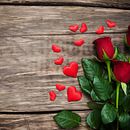 Flowers Larnaca . Bisnis proyek oleh cosmeagardens4 - 06.21.2023