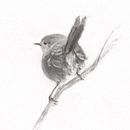 My project for course: Expressive Drawing with Charcoal. Un progetto di Belle arti, Disegno, Disegno di ritratti e Illustrazione naturalistica di anne_babington - 21.06.2023