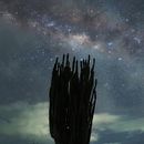 Mi proyecto del curso: Introducción a la astrofotografía. Projekt z dziedziny Fotografia i  Fotografia plenerowa użytkownika María Fernanda Martínez Amaya - 17.06.2023
