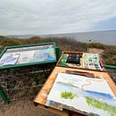 Artwork style and interpretation project . Pintura em aquarela, Instagram, Stor, telling, Criatividade, e Pintura projeto de Caroline Land - 20.06.2023