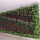 Mi proyecto del curso: Diseño de espacios verdes para tu casa, Jardín vertical. Un projet de Pa, sagisme, Art floral et végétal , et Design d'espace de Lydia Milena Sanchez Neiva - 13.06.2023
