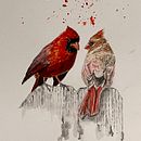 My project for course: Artistic Watercolor Techniques for Illustrating Birds. Un proyecto de Ilustración tradicional, Dibujo realista, Ilustración naturalista				 y Pintura a la acuarela de Nicholas Wibben - 25.06.2023