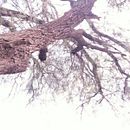 Naturaleza. Un proyecto de Fotografía de Yamila Caridad Rodriguez Gómez - 26.06.2023