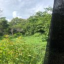 Proyecto final: creación de un perfil atractivo en Instagram. . Een project van Instagram van Francella González Mejía - 26.06.2023