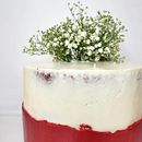 Mi proyecto del curso: Cake design: técnicas decorativas modernas. Un progetto di Design e DIY di Vanessa Tellez - 29.06.2023