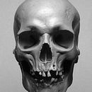 Human Skull. Un progetto di Design, Artigianato e Scultura di Aggelos Balaskas - 30.06.2023