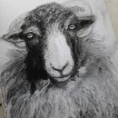 My project for course: Animal Illustration with Charcoal and Ink. Projekt z dziedziny  Sztuki piękne,  R, sunek,  R, sunek atramentem, Ilustracja naturalist i czna użytkownika eluned_eleven - 30.06.2023