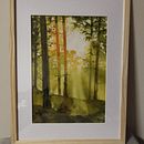 My project for course: Dreamy Watercolor Landscapes: Paint with Light. Projekt z dziedziny  Malarstwo i Malowanie akwarelą użytkownika joannawagner - 03.07.2023