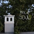 tree of my soul. Un proyecto de Fotografía, Fotografía digital y Composición fotográfica de valeriafa8 - 17.07.2023