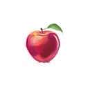 Apple drawing . Projekt z dziedziny Trad, c i jna ilustracja użytkownika Julia - 04.07.2023