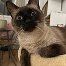 My project for course: Development of a Digital Media Plan. Un progetto di Pubblicità, Social media, Marketing digitale, Marketing per Facebook, Growth Marketing e SEO di Laura ST - 04.07.2023