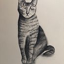 My project for course: Expressive Drawing with Charcoal . % Isabel Peinador tarafından hazırlanan Güzel sanatlar, Çizim, Portre Çizimi, Doğalcı İllüstras, Ve on projesi - 07.04.2023