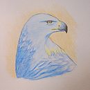 Águila Azul. Un proyecto de Escritura, Creatividad, Stor, telling, Narrativa, Escritura de no ficción, Escritura de ficción y Escritura creativa de Joaquín Montes - 30.07.2023