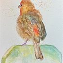 My project for course: Artistic Watercolor Techniques for Illustrating Birds. Een project van Traditionele illustratie, Aquarelschilderen, Realistische tekening y Naturalistische illustratie van Cintia Campos - 09.07.2023