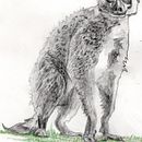 My project for course: Animal Illustration with Charcoal and Ink. Un progetto di Belle arti, Disegno, Illustrazione con inchiostro e Illustrazione naturalistica di Katherine Hall - 09.07.2023