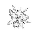 Mi proyecto del curso: Tatuaje para principiantes. Un proyecto de Diseño de tatuajes de Maca Artista - 07.07.2023