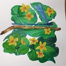 Mein Abschlussprojekt für den Kurs: Naturillustrationen mit Aquarell und Gouache. Un proyecto de Bellas Artes, Pintura, Pintura a la acuarela, Ilustración botánica, Ilustración naturalista				 y Pintura gouache de Heike Grebe - 10.07.2023
