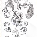 Me gusta dibujar cosas que encuentro en Pinterest, no se mucho pero me gustaría aprender cosas que me ayuden a mejorar mi habilidad de dibujo. Un progetto di Illustrazione tradizionale e Design di amyycarmona - 10.07.2023