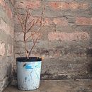 Mi proyecto del curso: Fotografía y vídeo profesional con tu móvil. Projekt z dziedziny Fotografowanie smartfonem, Instagram, Fotografia na Instagram,  Fotografia lifest i le użytkownika Francisco Yatzky - 13.07.2023