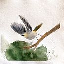 Mon projet du cours : Aquarelles naturalistes expressives avec du caractère Ein Projekt aus dem Bereich Traditionelle Illustration, Aquarellmalerei und Naturalistische Illustration von Marika Corboz - 17.07.2023