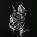 Scratchboard kitty . Een project van Traditionele illustratie,  Beeldende kunst,  Tekening,  Illustratie met inkt, Naturalistische illustratie y Graveren van Yaiza - 18.07.2023