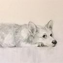 My project for course: Expressive Drawing with Charcoal. Un progetto di Belle arti, Disegno, Disegno di ritratti e Illustrazione naturalistica di minukrichards - 13.07.2023