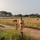 My project for course: Beginner’s Photography: Basic Camera Use and Theory. Un projet de Photographie, Photographie numérique , et Composition photographique de Satyajit Dash - 20.07.2023