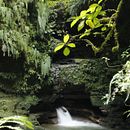 Mi proyecto del curso: Fotografía para principiantes.  AMAZONAS ECUADOR.. Een project van Fotografie, Digitale fotografie, Fotografische compositie y Artistieke fotografie van Esteban Apablaza Hormazabal - 19.07.2023