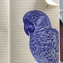 Perroquet au stylo . Ilustrație naturalistă de mathildehuet92 - 01.11.2021