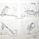 Mon projet du cours : Techniques d’illustration artistique au graphite. Un projet de Illustration traditionnelle, Beaux Arts, Dessin au cra, on, Dessin, Dessin artistique et Illustration éditoriale de Bruno Parmentier - 20.07.2023