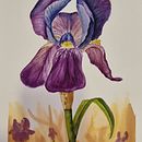 Mi proyecto del curso: Ilustración botánica con acuarela . Ilustrație tradițională, Arte plastice, Pictura, Desen, Pictură în acuarelă & Ilustrație botanică de Luis Ortuño Molina - 07.23.2023