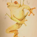 Frog . Ilustrație tradițională de Karola Kruk - 04.10.2023