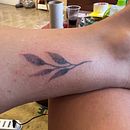 Mi proyecto del curso: Tatuaje botánico con puntillismo. Un proyecto de Ilustración tradicional, Diseño de tatuajes e Ilustración botánica de Maria de los Angeles Centeno - 23.07.2023