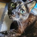 My Portfolio . % MikachanArts808 tarafından hazırlanan Sanat ve El Sanatları projesi - 07.24.2023