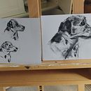 My project for course: Animal Illustration with Charcoal and Ink. Furry Family  . Arte plastice, Desen, Ilustrație cu cerneală & Ilustrație naturalistă de slouiser - 07.24.2023