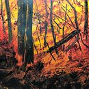 Our Planet Burns Ein Projekt aus dem Bereich Aquarellmalerei von case_kuehn - 25.07.2023