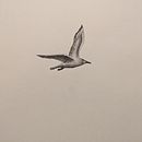 smol cute sketches. Un projet de Artisanat, Esquisse , Dessin au cra , et on de Mathias Schäfer - 26.07.2023